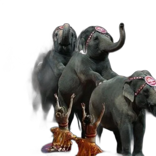 animal, creature, 3d render, concept art transparent PNG cut-out