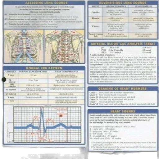 medical, reference, chart, displaying transparent PNG cut-out