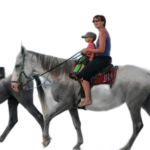 animal, 3d render, photorealistic, concept art transparent PNG cut-out