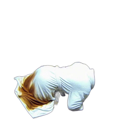 hair, animal, crown, mask transparent PNG cut-out