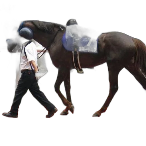 animal, creature, staff, weapon transparent PNG cut-out