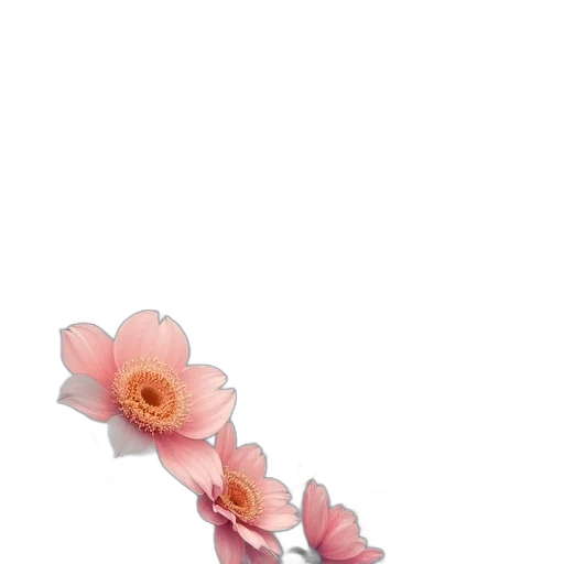 flower, jewelry, crown, staff transparent PNG cut-out