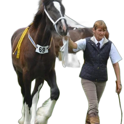 staff, animal, photorealistic, woman transparent PNG cut-out