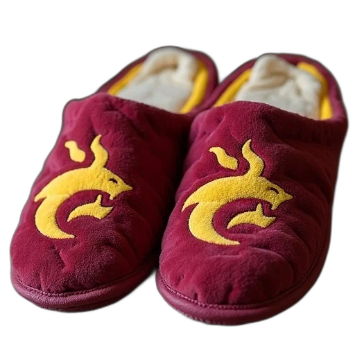 shoes, dragon, men, arizona transparent PNG cut-out