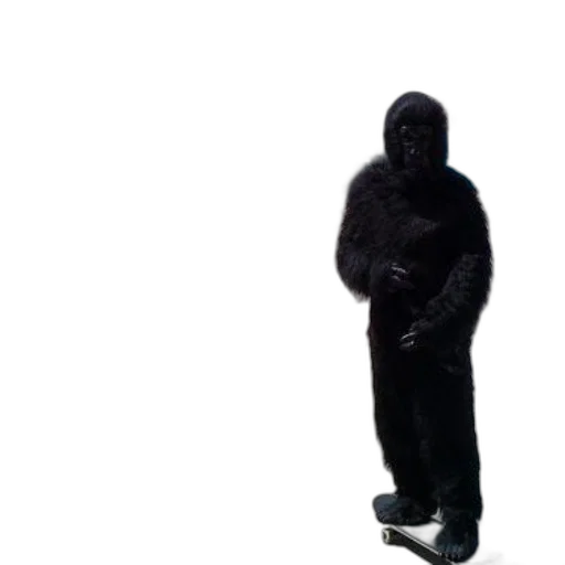 jacket, creature, robot, animal transparent PNG cut-out