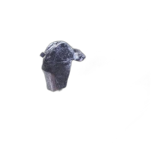 animal, mask, hat, hair transparent PNG cut-out