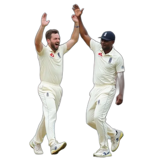 england, bowler, celebrates, wicket transparent PNG cut-out