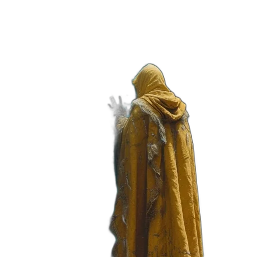 jacket, staff, dress, mask transparent PNG cut-out