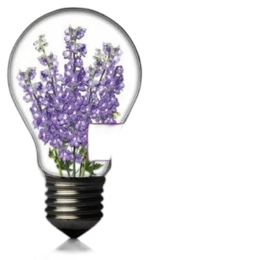 flower, crown, 3d render, photorealistic transparent PNG cut-out