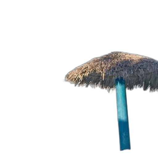 umbrella, hat, hair, staff transparent PNG cut-out