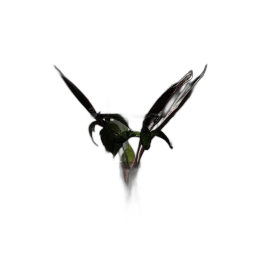 staff, dragon, animal, weapon transparent PNG cut-out