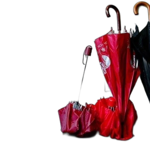umbrella, shoes, dress, jacket transparent PNG cut-out