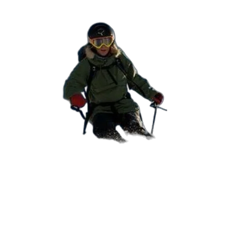 staff, jacket, animal, creature transparent PNG cut-out