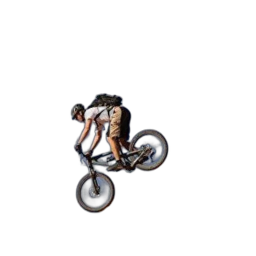 animal, creature, pixel art, concept art transparent PNG cut-out