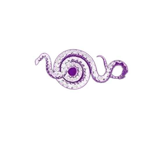 hair, jewelry, animal, dragon transparent PNG cut-out
