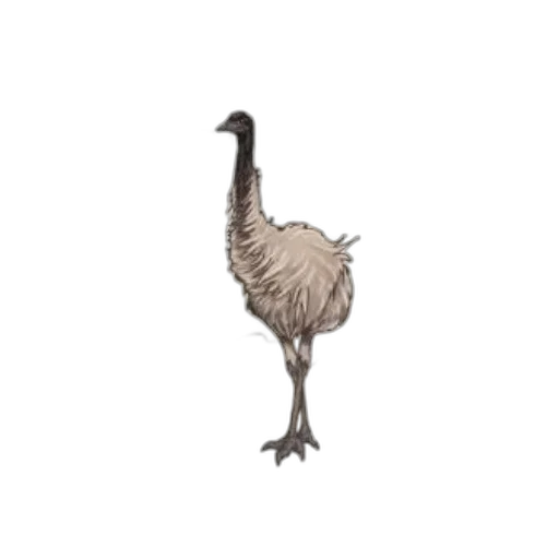 animal, creature, staff, hat transparent PNG cut-out