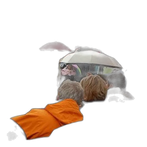 hat, umbrella, animal, creature transparent PNG cut-out