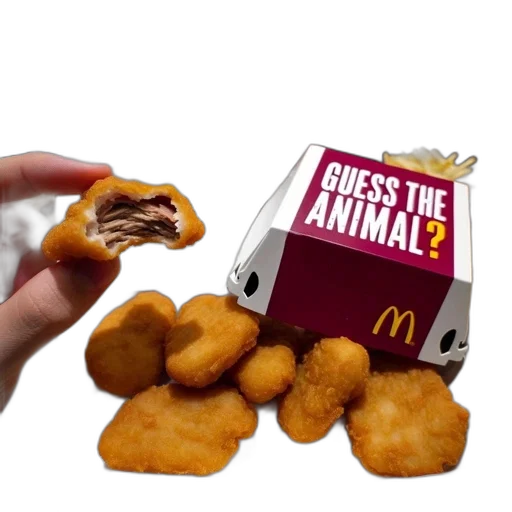 food, animal, creature, weapon transparent PNG cut-out