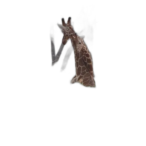 creature, animal, dragon, staff transparent PNG cut-out