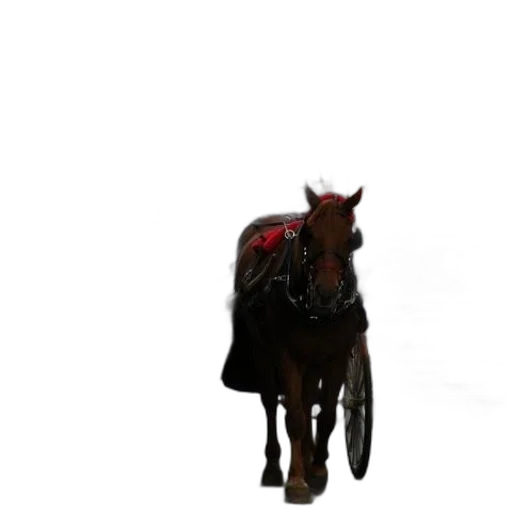 animal, staff, creature, dragon transparent PNG cut-out