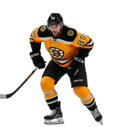 animal, concept art, hockey, photo transparent PNG cut-out
