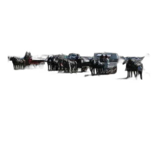 car, weapon, staff, animal transparent PNG cut-out