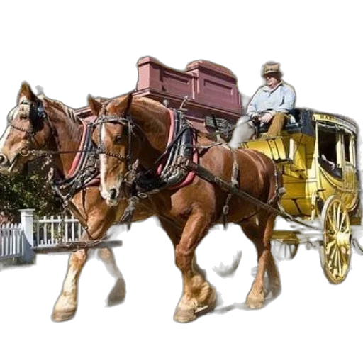photorealistic, concept art, oil painting, 3d render transparent PNG cut-out