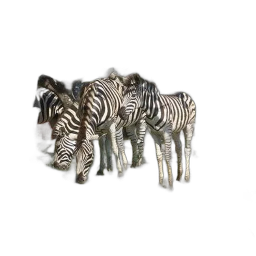 jewelry, animal, furniture, 3d render transparent PNG cut-out