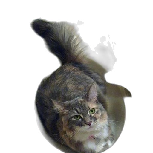animal, creature, crown, staff transparent PNG cut-out
