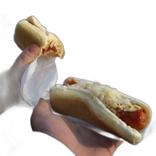 food, weapon, animal, creature transparent PNG cut-out