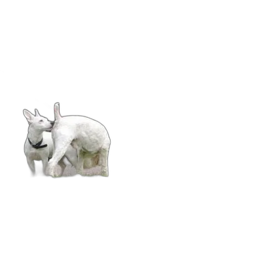 animal, creature, dragon, furniture transparent PNG cut-out