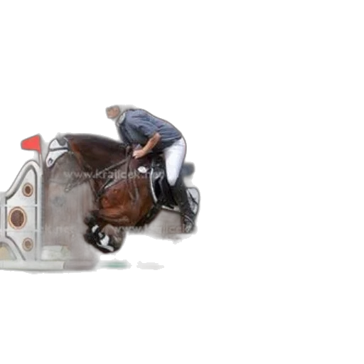 3d render, rider, brown, horse transparent PNG cut-out