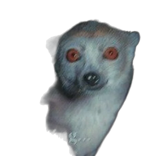 creature, animal, face, staff transparent PNG cut-out
