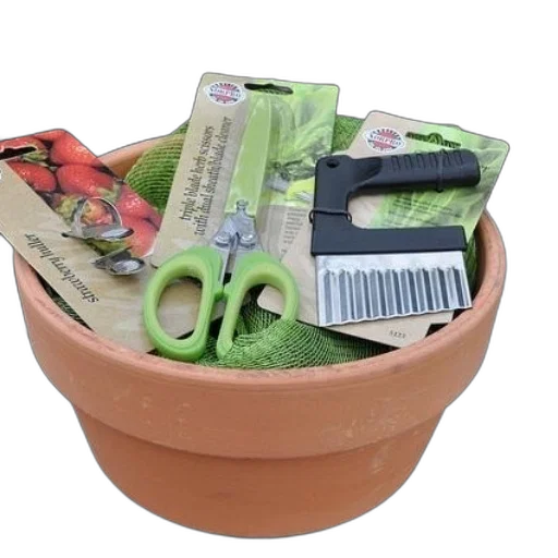 crown, food, terracotta, pot transparent PNG cut-out