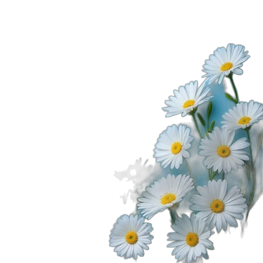 flower, dress, crown, weapon transparent PNG cut-out