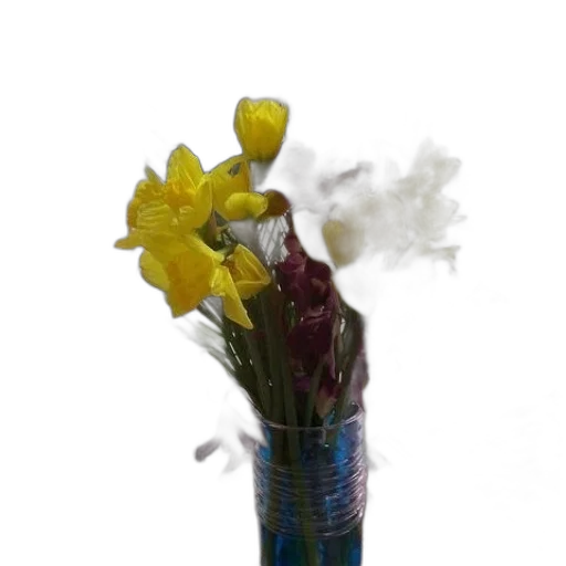 flower, bottle, staff, crown transparent PNG cut-out