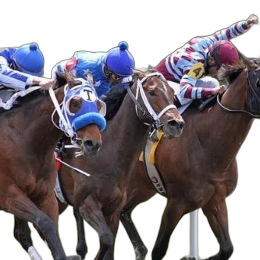 three, jockeys, horses, racing transparent PNG cut-out