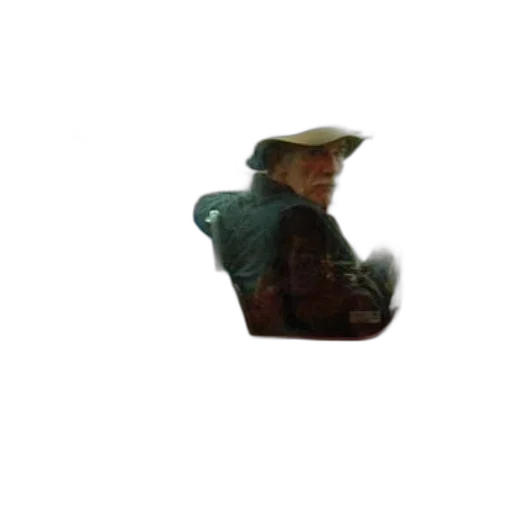 hat, jacket, staff, face transparent PNG cut-out