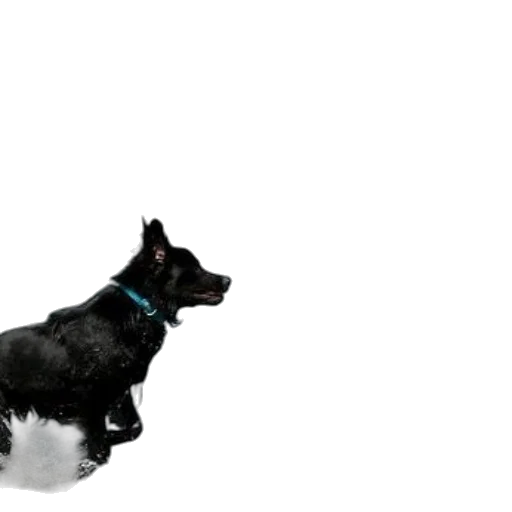 animal, creature, staff, robot transparent PNG cut-out