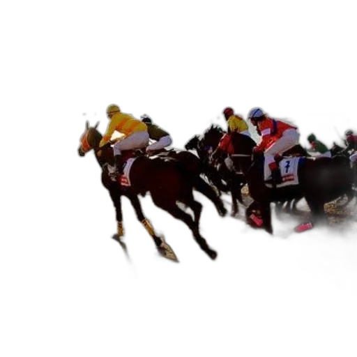 horse, race, beach, jockeys transparent PNG cut-out
