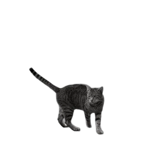 animal, creature, staff, robot transparent PNG cut-out