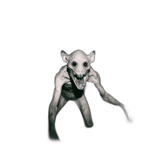 creature, animal, mask, face transparent PNG cut-out