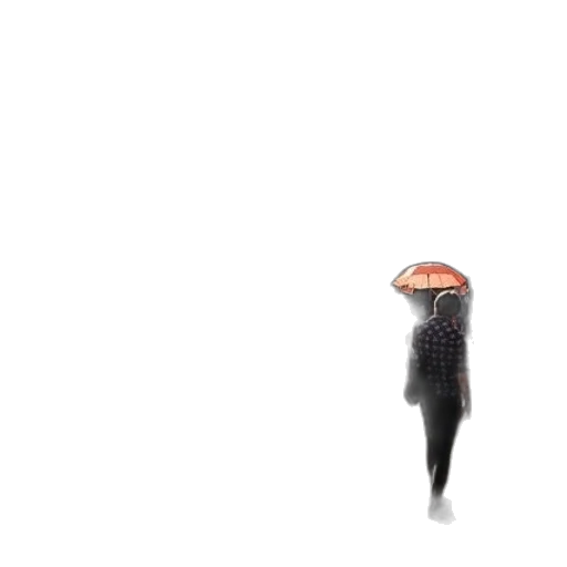hat, hair, animal, umbrella transparent PNG cut-out