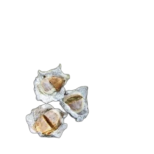 jewelry, crown, food, shoes transparent PNG cut-out