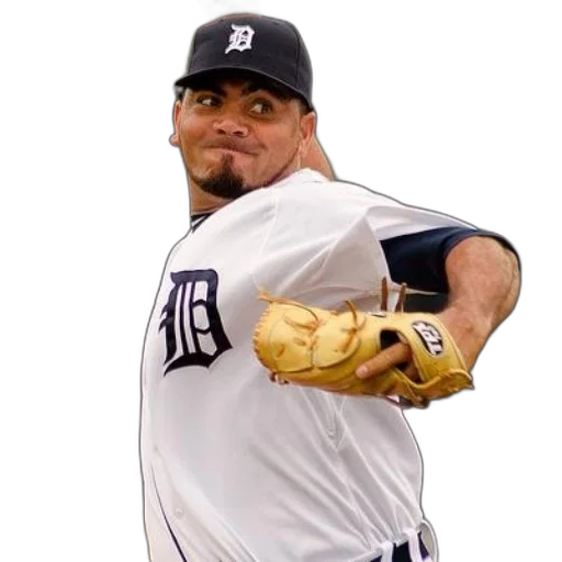animal, detroit, tigers, pitcher transparent PNG cut-out
