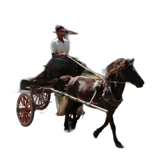 staff, car, hat, animal transparent PNG cut-out
