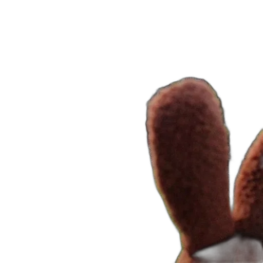 shoes, food, hat, creature transparent PNG cut-out