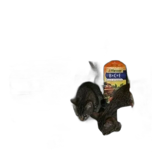 animal, food, bottle, creature transparent PNG cut-out