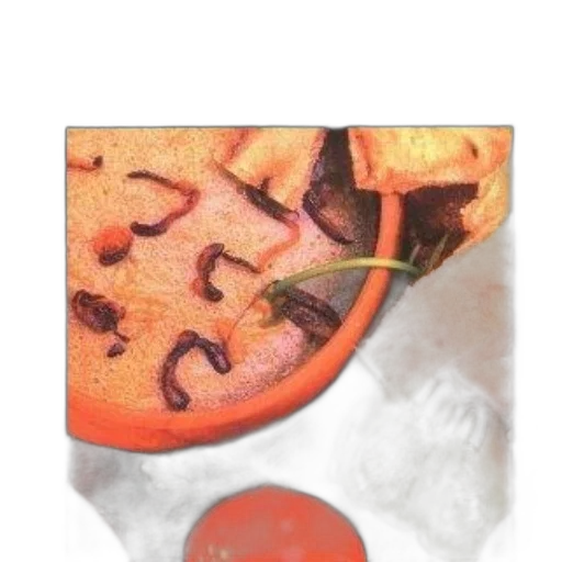food, jewelry, staff, face transparent PNG cut-out