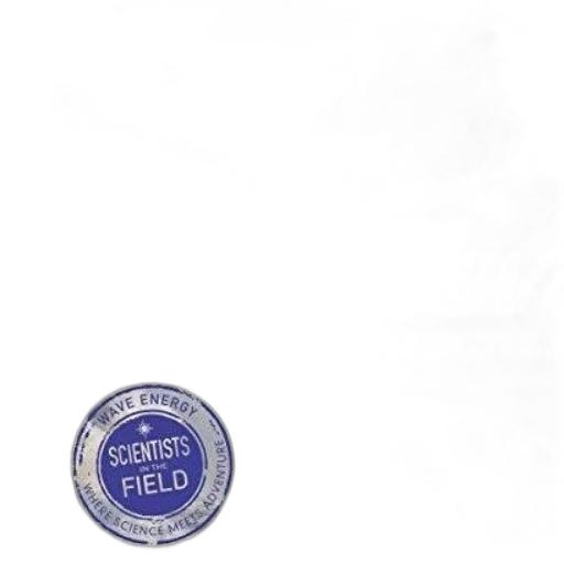 jewelry, staff, crown, jacket transparent PNG cut-out